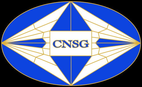 上海偉圣投資管理 專業(yè)投資咨詢引領財富增長新航道